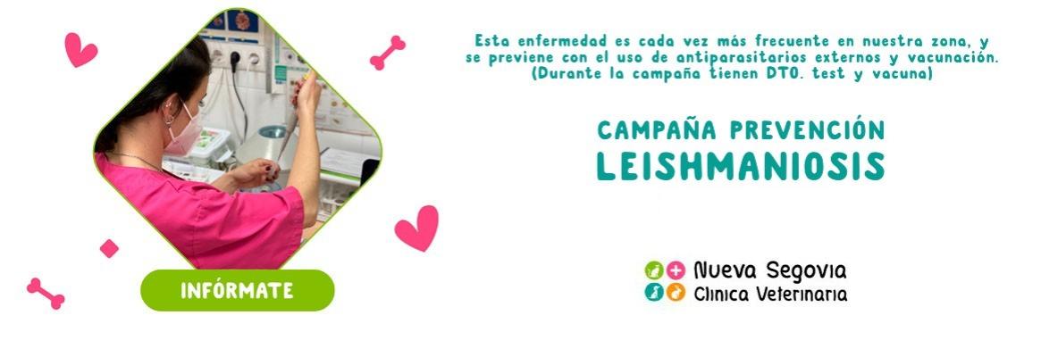 Campaña Leishmaniosis 2024 Clínica Veterinaria Nueva Segovia