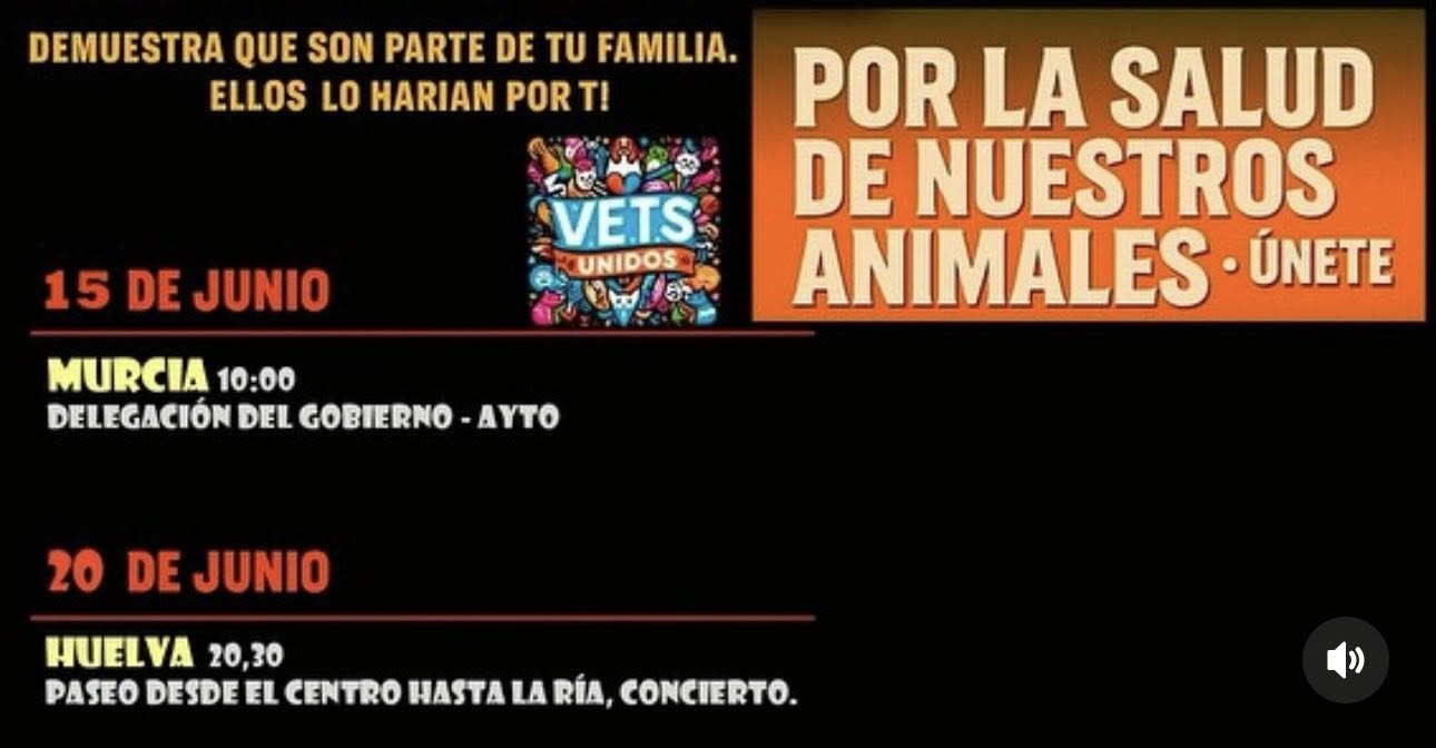Protestas 7-8 junio