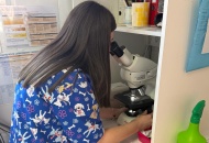 Laboratorio de la Clínica Veterinaria Nueva Segovia