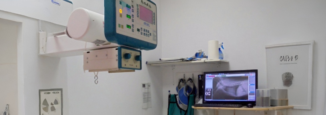 Diagnóstico por imagen en la Clínica Veterinaria Nueva Segovia