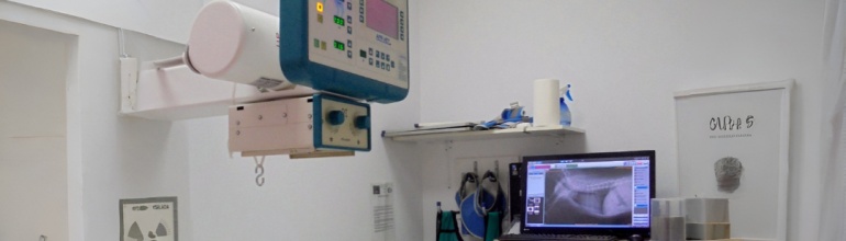 Diagnóstico por imagen en la Clínica Veterinaria Nueva Segovia