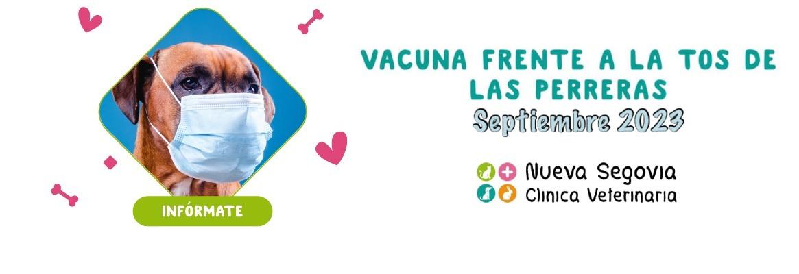Clínica Veterinaria Nueva Segovia