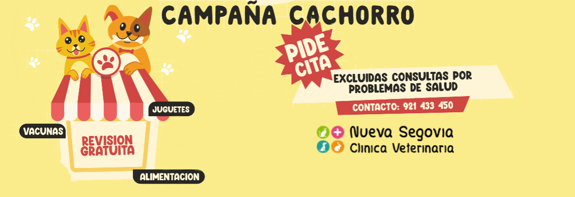 Campaña cachorro Clínica Veterinaria Nueva Segovia