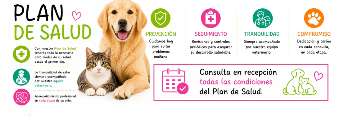 Campaña Plan de Salud Clínica Veterinaria Nueva Segovia